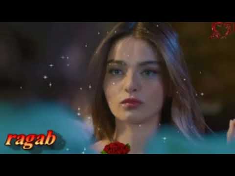 انت عمري وانت اغلي ذكرياتي وانت في قلبي ولا غيرك