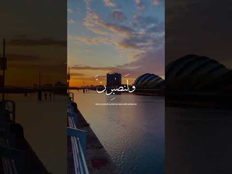 وما لنا ألا نتوكل على الله وقد هدانا سبلنا شريف مصطفى وما لنا ألا نتوكل على الله وقد هدانا سبلنا شريف مصطفى