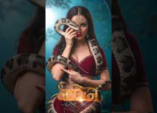 Nagin Song Sivnaya Trending Nagin Song Video Viral Shortsfeed Love Story Nagin Rington Love