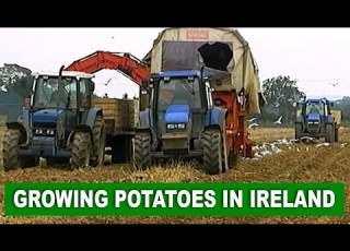  Potato Farming In Ireland Documentary By Videos Of Irish Farming Life