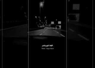  نوترین کورانی دیلان هونر