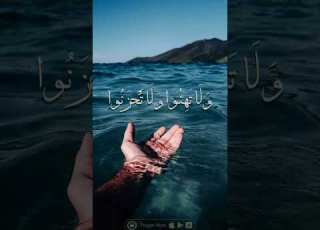  عبدالرحمن مسعد Nature Lifeisbutadream Flowers Cat Love Yasseraldossary