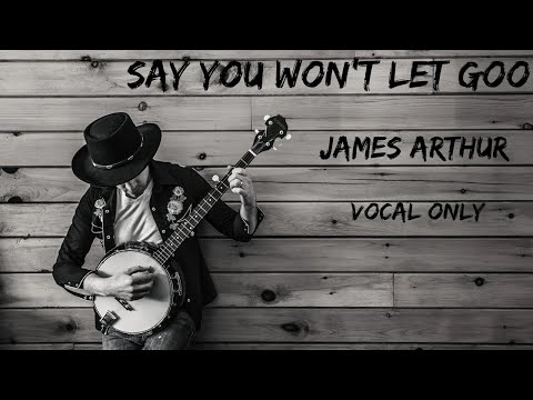 Say You Won T Let Go By James Arthur Song Without Music Vocal Only Lyrics From Singers Unplugged