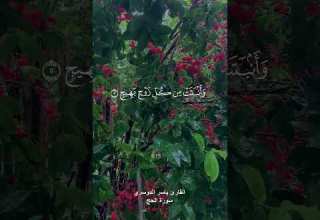 وترى الارض هامدة فاذا انزلنا عليها الماء اهتزت وربت القارئ ياسر الدوسري