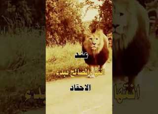  عند انتهاء المصالح حالات واتس اب شيقة احترافية روووووووووووووووعـه