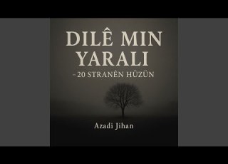 Dilê Min Şewitî My Heart Is Burned