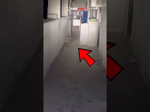 ممنوع على القلوب الضعيفة اتحداك تكملو الاخر مقطع رعب مخيف جدا جدا