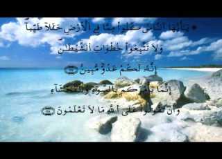 سورة البقرة الدوكالي العالم برواية قالون