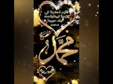 حبيبي يارسول الله حالات واتس اب جميلة