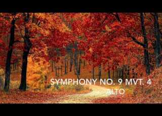  Symphony No 9 In D Minor Op 125 Mvt 4 Ludwig Van Beethoven Alto