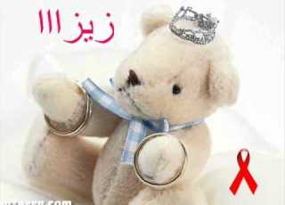  زيزاا 2011