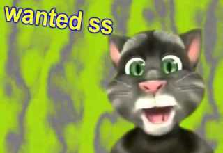 أبو الوليد وعياله المقاديد طيور الجنة