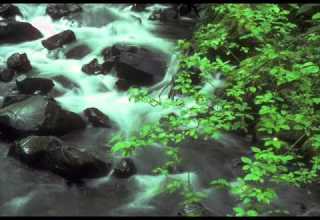 سورة يوسف ماهر المعيقلي 2