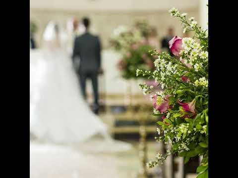 احلى زفة ليال عبود بدون موسيقى طبول دف