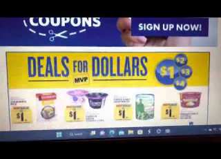  Food Lion Circular Valid Feb 22 Feb 28 2023