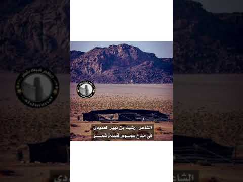 الشاعر رشيد نهير العمودي قصيده مدح بقبيلته شمر