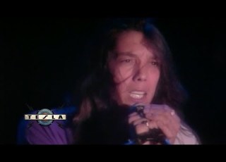 TESLA The Way It Is Five Man Video Band
