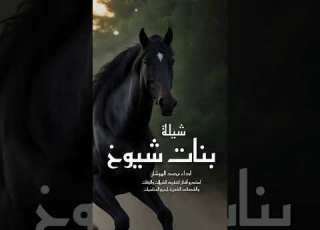  شيلة شيوخ اداء محمد الهوشان