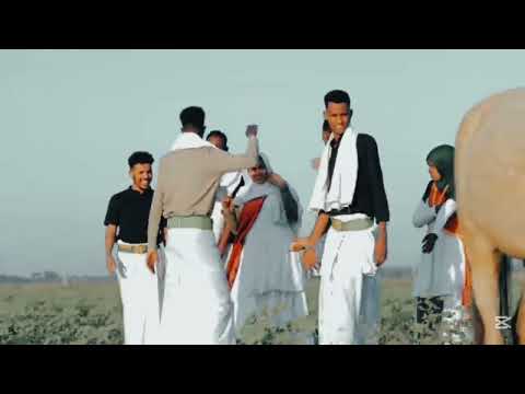 DHAANTO CUSUB ABWAAN NUUR GOSAAR CAWSHA QANI 2026