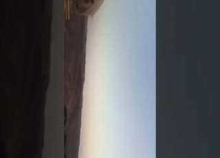 عبسي جويلي حرب فجر ليبيا 2014 المجلس العسكري الزنتان شليوني الزنتان