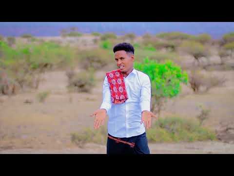 DHAANTO CUSUB NUUR DOOLLO