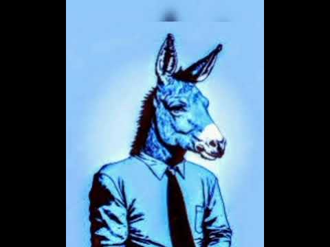 فن الرد مذا تقول بأحد قال لك أنت حمار فن الرد كلمات عبارات فن الرد مذا تقول بأحد قال لك أنت حمار فن الرد كلمات عبارات