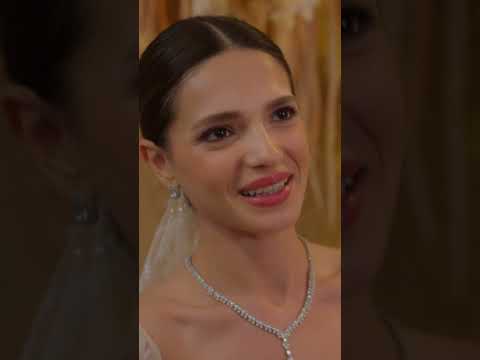 زواج أنور وزينب القفص الذهبي Shorts زواج أنور وزينب القفص الذهبي Shorts