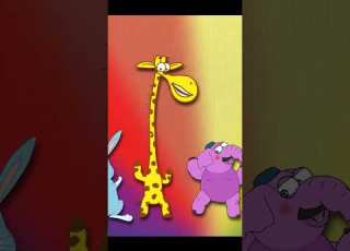 Shorts დაბადებისდღე ჟირაფიჟოზე