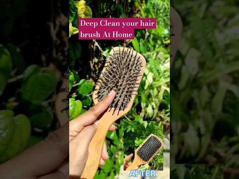 Deep Clean Your Hair Brush At Home Easily Wooden Comb Cleaning Hack Cleaninghacks Hairbrush Yt Deep Clean Your Hair Brush At Home Easily Wooden Comb Cleaning Hack Cleaninghacks Hairbrush Yt