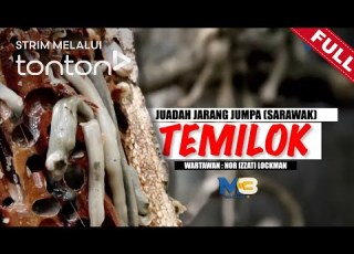 FULL Majalah 3 2024 Mon Dec 9 Juadah Jarang Jumpa Sarawak Temilok Tonton