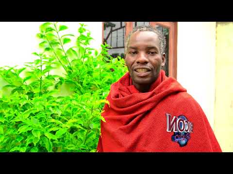 NGESE YA MAWE FT ELIASI MNYAMWEZI BHANA WELELO Bicon Studio NGESE YA MAWE FT ELIASI MNYAMWEZI BHANA WELELO Bicon Studio