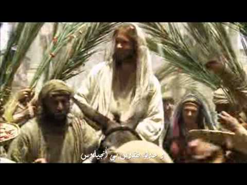 لحن الجالس فوق الشاروبية فريق ابو فام أغابي