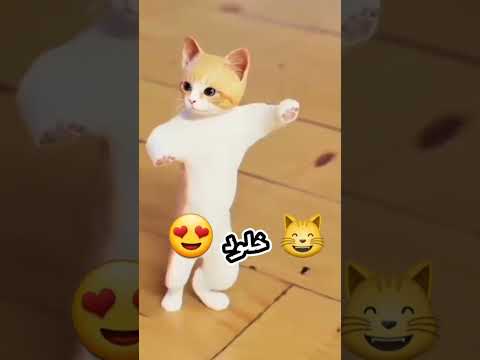 حسب الطلب الاكثر خلود