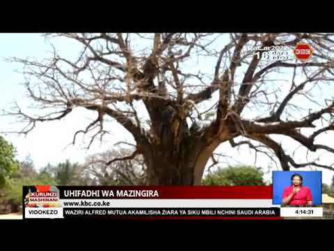 Mayungu Cleaning Exercise