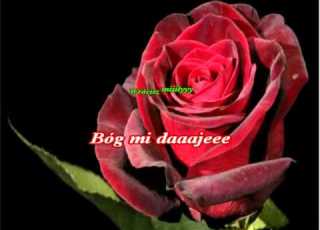  Kayah Bregovic Kiedys Bylam Roza