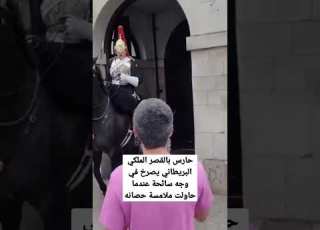 حارس بالقصر الملكي البريطاني يصرخ في وجه سائحة عندما حاولت ملامسة حصانه
