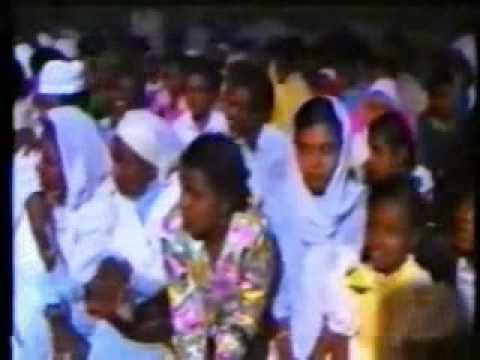 عبدالله البعيو تمساح جزاير الكرد