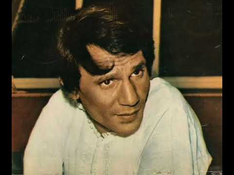 وتأني تاني تاني راجعين للحيره تاني حليم