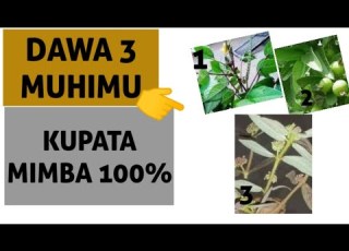 Dawa Ya KUPATA MIMBA Haraka Dawazamimba
