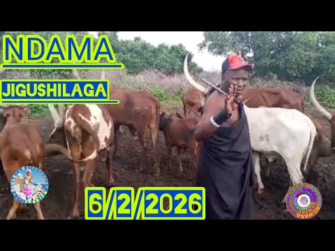 NDAMA JIGUSHILAGA UJUMBE WA MKALA 2026 BY SHULE MSABAZAJI