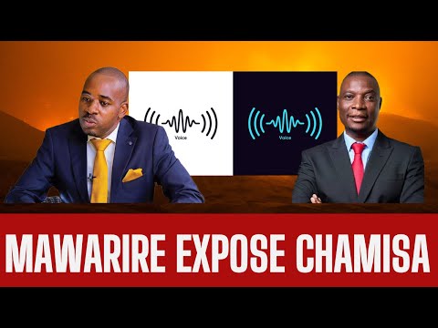 Jealousy Mawarire Expose Chamisa Audio With ED Watch Chamisa Exposed By Jelousy