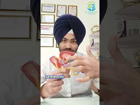 Urine Vs Semen Why They Never Come Out Together Human Biology Facts Dr Varinder Virdi