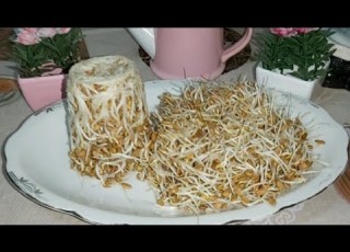 The Fastest Way To Make Sprouted Fenugreek Is Very Easy And Includes All The Steps For Success
