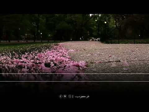 سورة يس كاملة تلاوه خاشعه للقارئ عمرمحجوبSurah Yaseen Reciter Omar Mahjoub