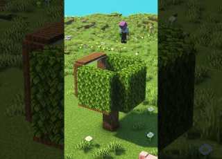 Minecraft Starter Tree House Shorts