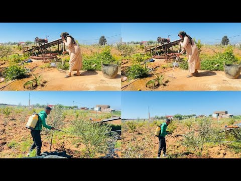 Everything Is Fine Thank God My Lord Is Great And I Am Pleased With My Parents