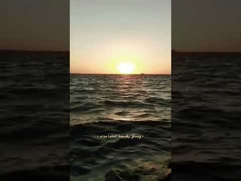 اريد الحب في قلب شريف