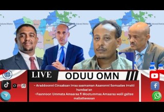 OMN ODUU MUDDEE 5 2025 Taayyee Danda Aa Irratti Murtiin Waggaa 7 Darbe