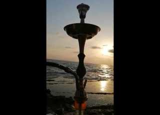  حاتم العراقي موال لا يفلان