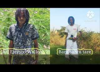  Walaloo Jaal Ejersoo Walloo Bara Abaabayyuuf Akaakayyuu Keenya San Am 12 2025